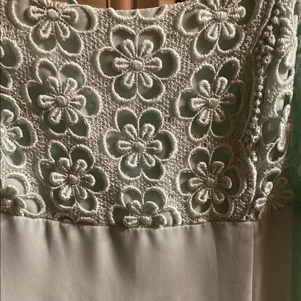 Vintage Mint Green Sleeveless Evening Gown with Lacey Floral Detail Summer Fall - Picture 9 of 9